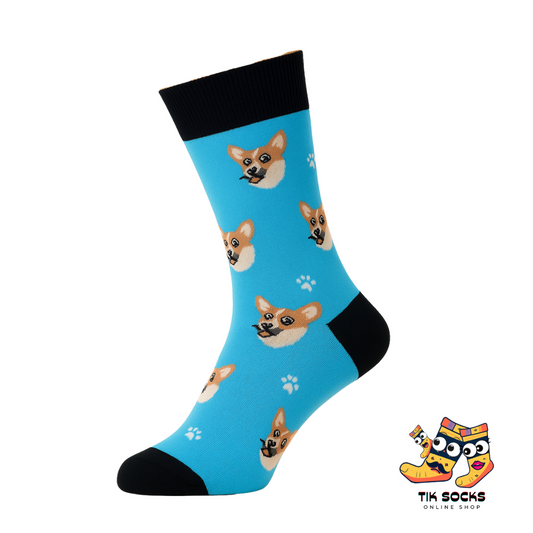 blue corgi sock on the feet model