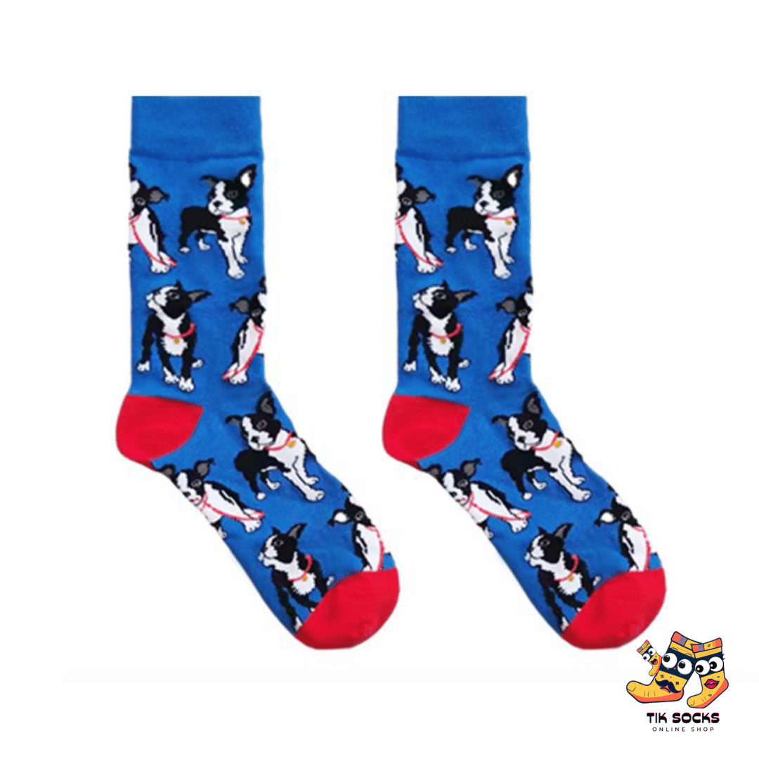 TikSocks|Fun Socks-Dog Socks-Chihuahua Socks