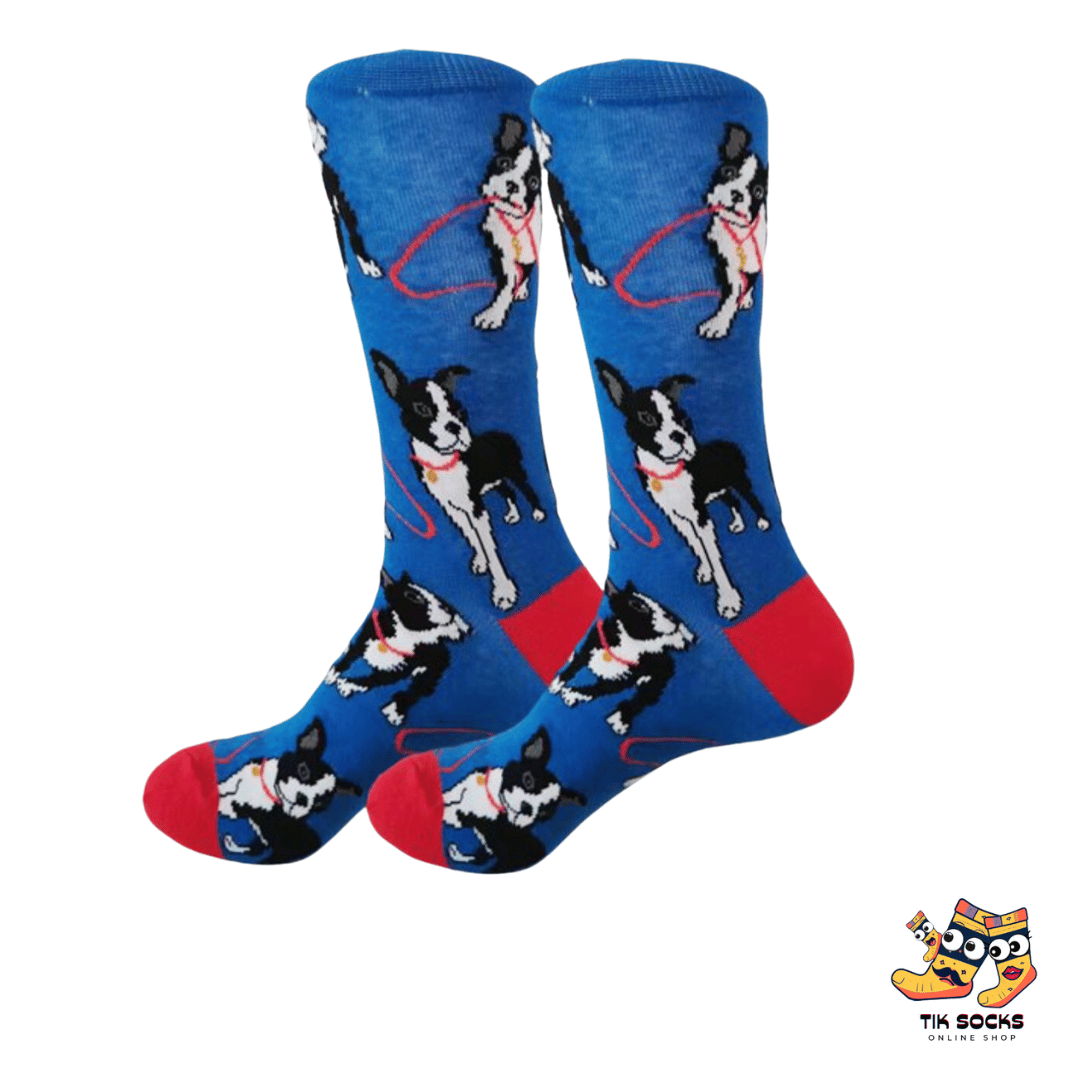 TikSocks|Fun Socks-Dog Socks-Chihuahua Socks